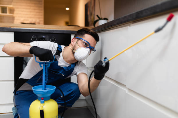 Best Rat Extermination Near Me  in Arnold, CA