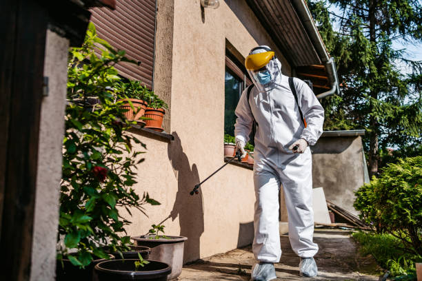 Best Affordable Pest Control Services  in Arnold, CA