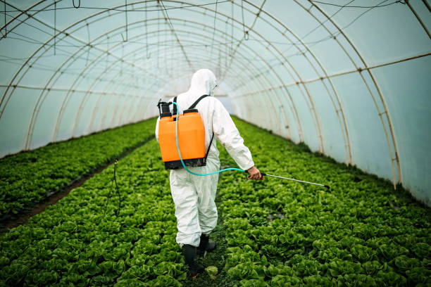 Best Affordable Pest Control Services  in Arnold, CA