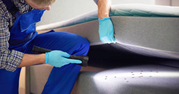Best Pest Control for Restaurants  in Arnold, CA