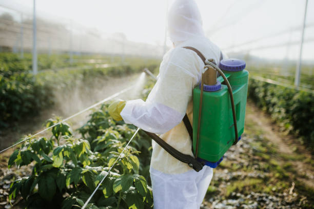 Best Best Pest Control Near Me  in Arnold, CA